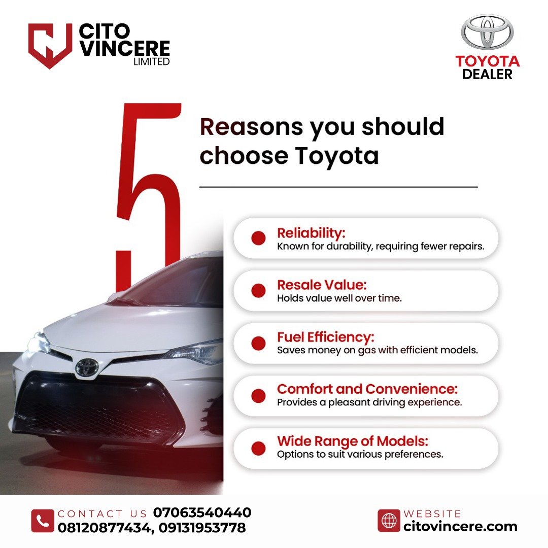 Why choose Cito Vincere services